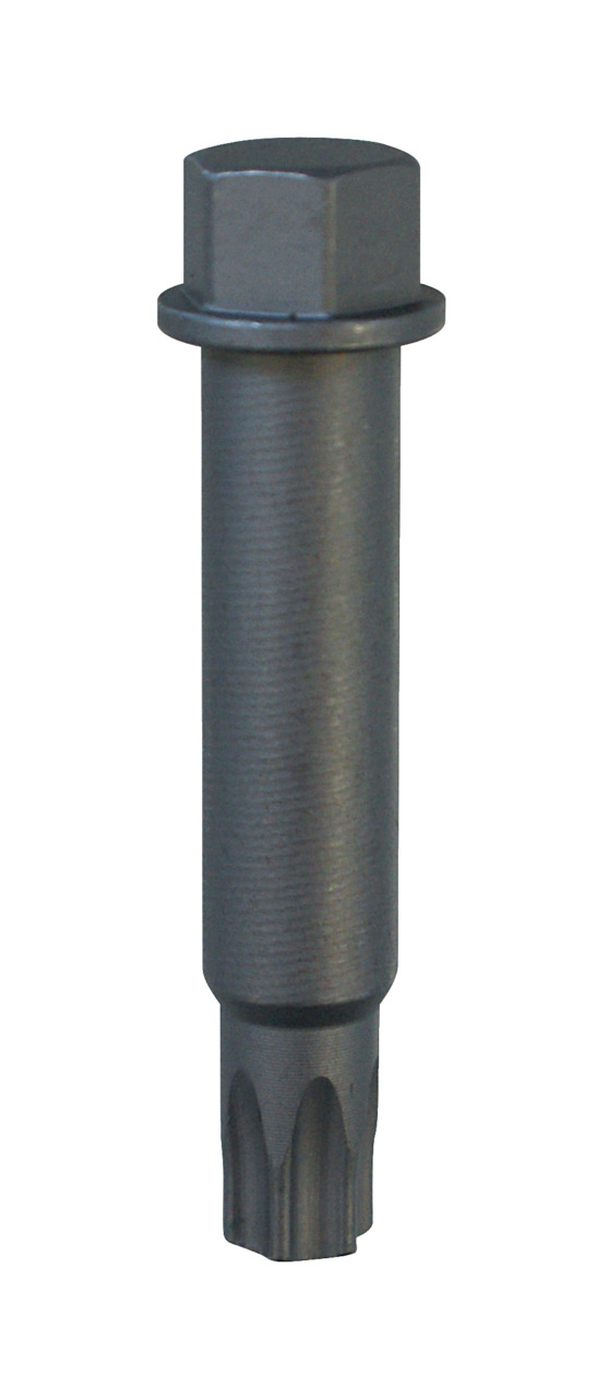 Screwdriver Bit Socket T50