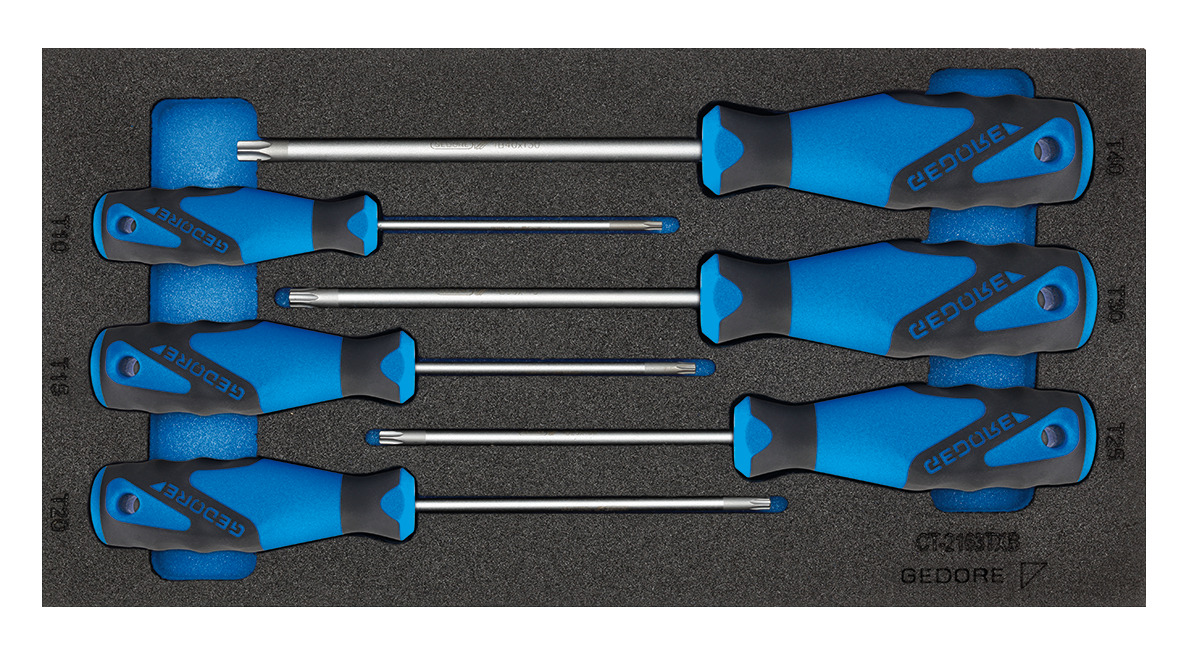 Check-Tool insert with assortment