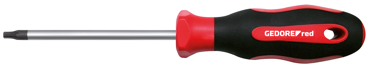 2C-Screwdriver TX T25 l.100mm