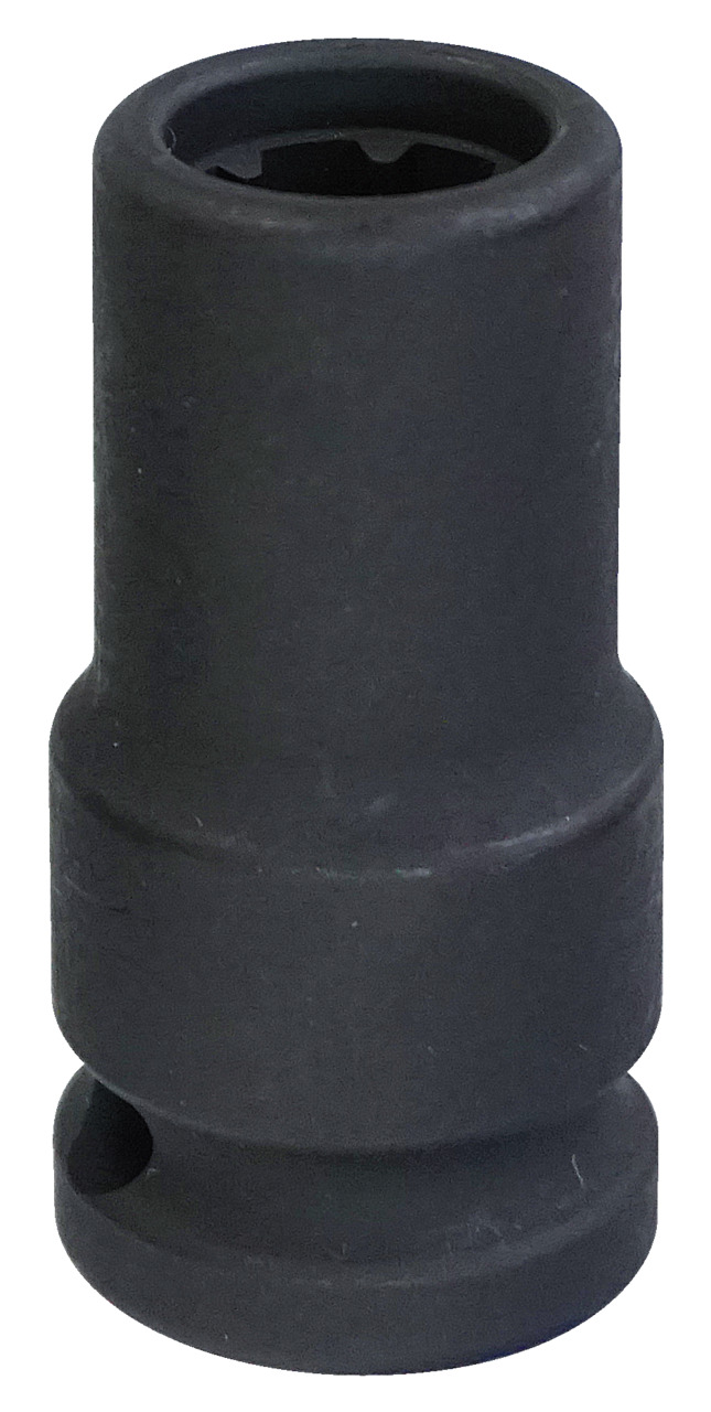 Socket Socket